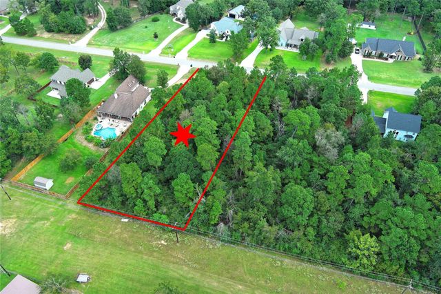 148 Port Au Prince Court, Montgomery, TX 77316