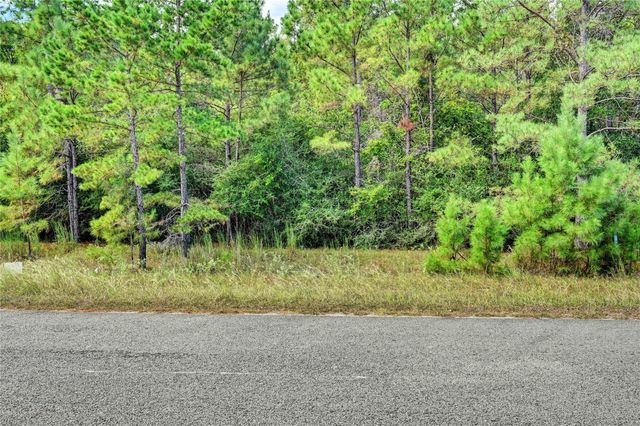 148 Port Au Prince Court, Montgomery, TX 77316
