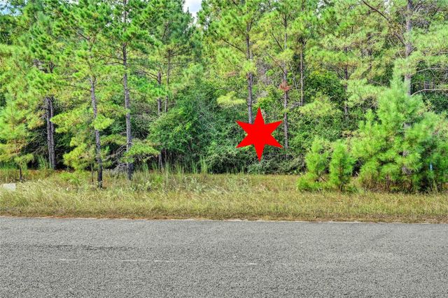 148 Port Au Prince Court, Montgomery, TX 77316
