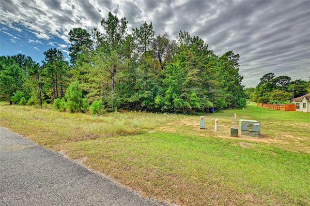 148 Port Au Prince Court, Montgomery, TX 77316