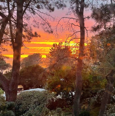 367 Pine Needles Dr, Del Mar, CA 92014