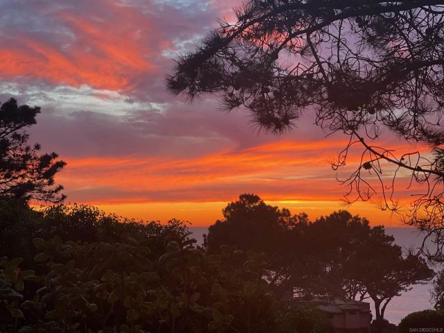 367 Pine Needles Dr, Del Mar, CA 92014