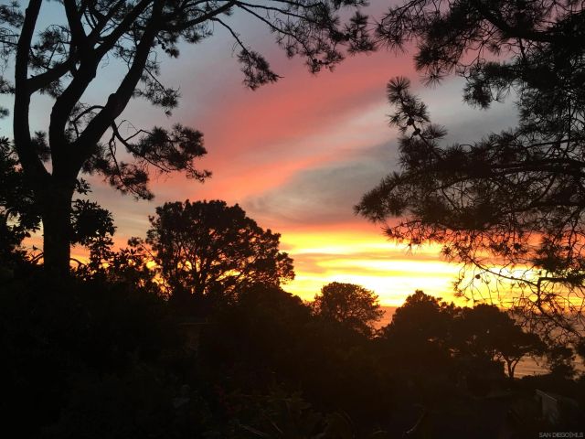 367 Pine Needles Dr, Del Mar, CA 92014