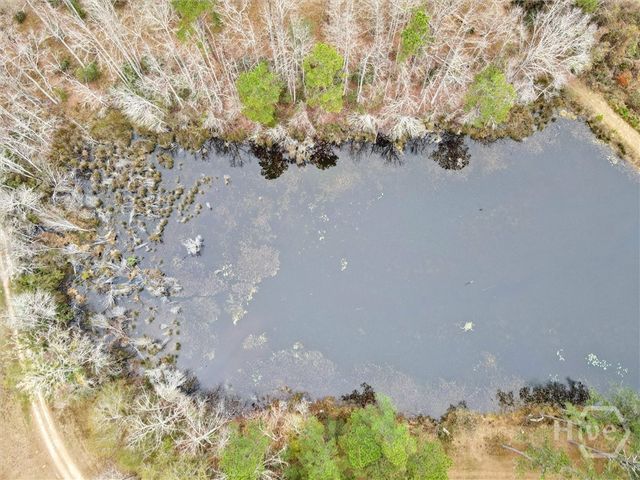 10544 Burkhalter Road, Statesboro, GA 30461