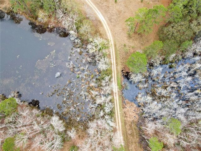 10544 Burkhalter Road, Statesboro, GA 30461