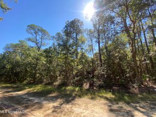 Ocean Beach Est, Ocean Springs, MS 39564