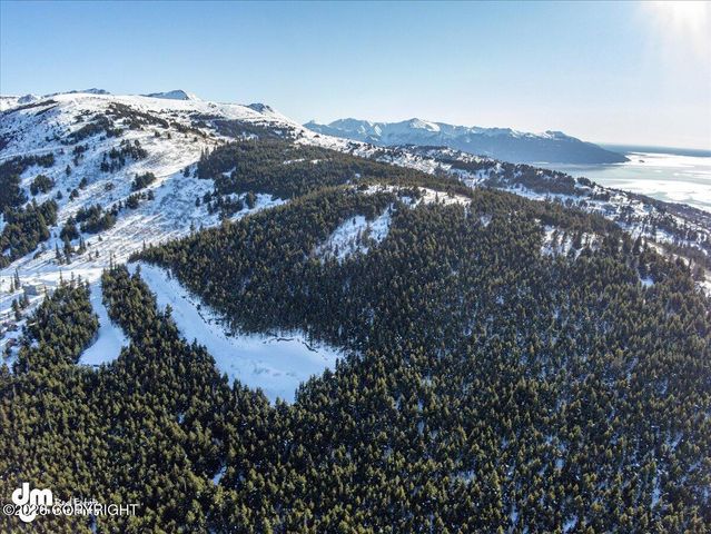 L3 Paine Circle, Anchorage, AK 99516