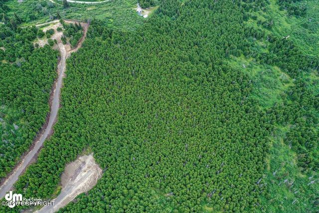 L3 Paine Circle, Anchorage, AK 99516