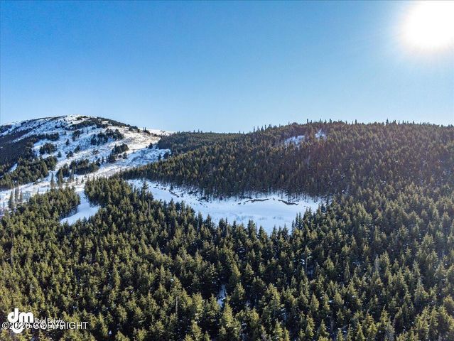 L3 Paine Circle, Anchorage, AK 99516