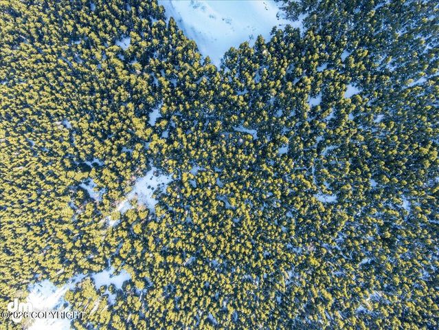 L3 Paine Circle, Anchorage, AK 99516