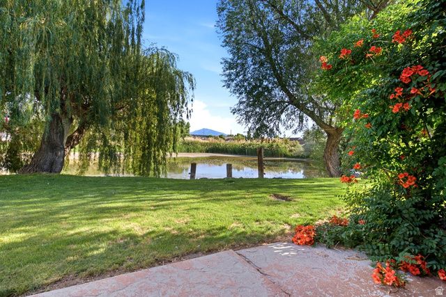 1174 E 800 N, Spanish Fork, UT 84660