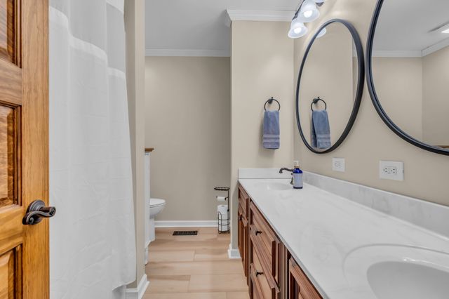 593 Rogues Fork Rd, Bethpage, TN 37022