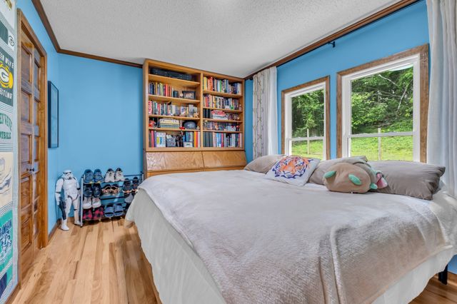 593 Rogues Fork Rd, Bethpage, TN 37022