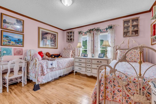 593 Rogues Fork Rd, Bethpage, TN 37022