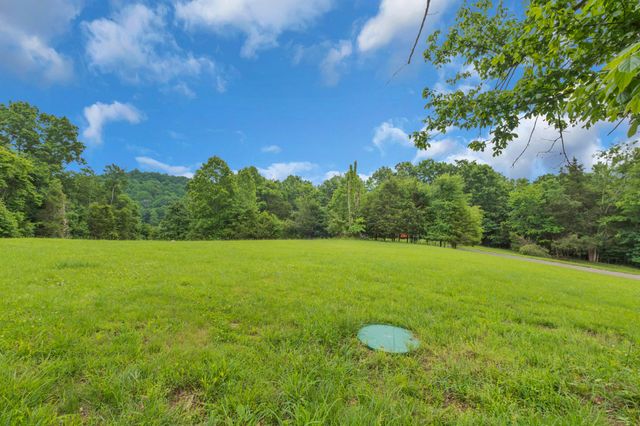 593 Rogues Fork Rd, Bethpage, TN 37022