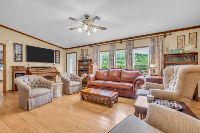 593 Rogues Fork Rd, Bethpage, TN 37022