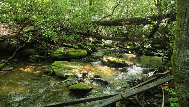 1536 Creek Road, Hiawassee, GA 30546