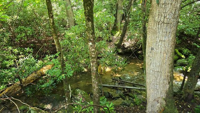 1536 Creek Road, Hiawassee, GA 30546