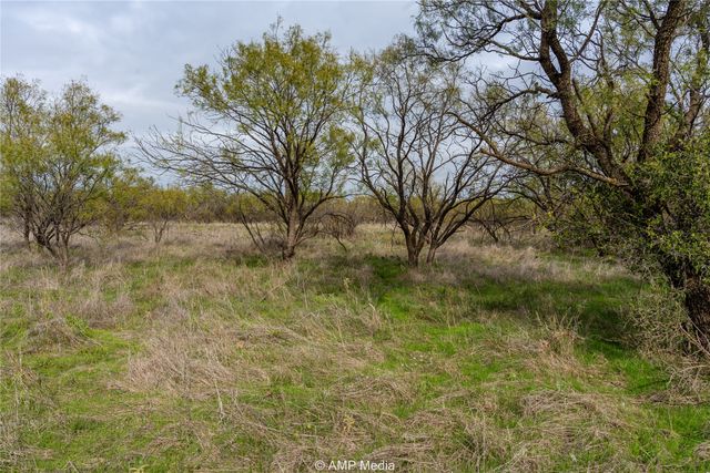 3797 County Road 122, Moran, TX 76464