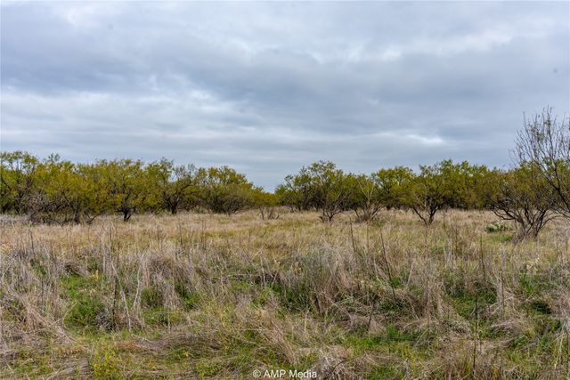 3797 County Road 122, Moran, TX 76464