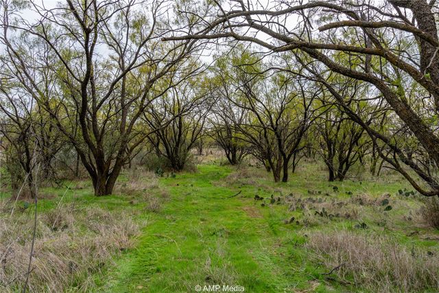 3797 County Road 122, Moran, TX 76464
