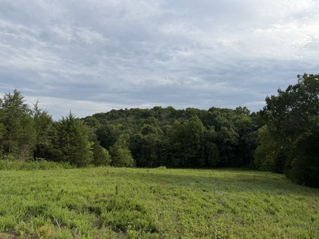 2370 Patton Hollow Rd, Watertown, TN 37184