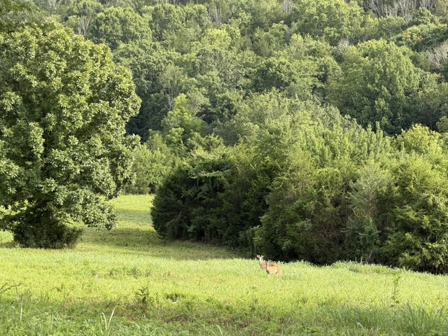 2370 Patton Hollow Rd, Watertown, TN 37184
