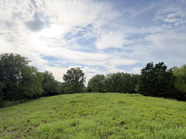 2370 Patton Hollow Rd, Watertown, TN 37184