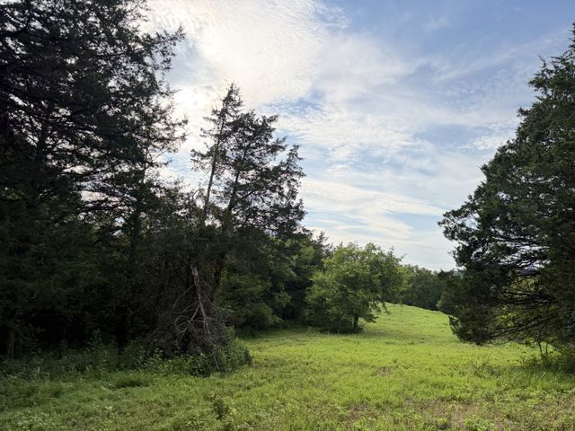 2370 Patton Hollow Rd, Watertown, TN 37184