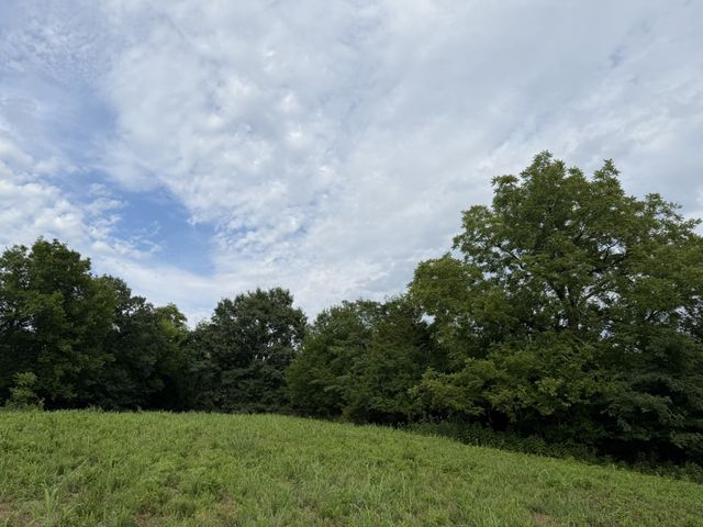 2370 Patton Hollow Rd, Watertown, TN 37184