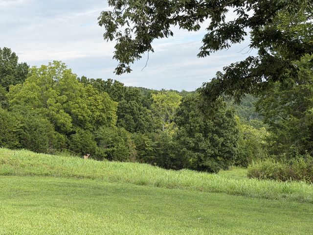 2370 Patton Hollow Rd, Watertown, TN 37184