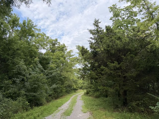 2370 Patton Hollow Rd, Watertown, TN 37184