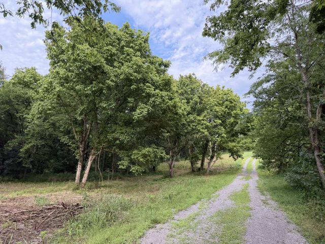 2370 Patton Hollow Rd, Watertown, TN 37184