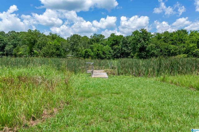 1254 SHORE DRIVE, Ashville, AL 35953