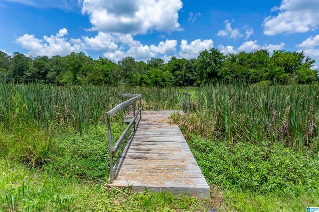 1254 SHORE DRIVE, Ashville, AL 35953