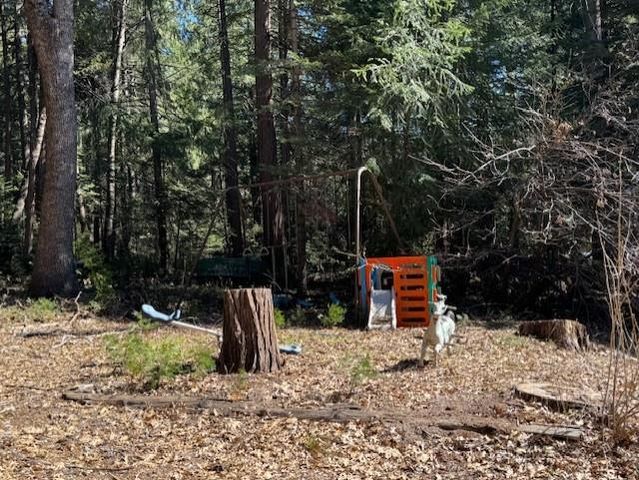 17970-17990 Foxfire Way, Nevada City, CA 95959