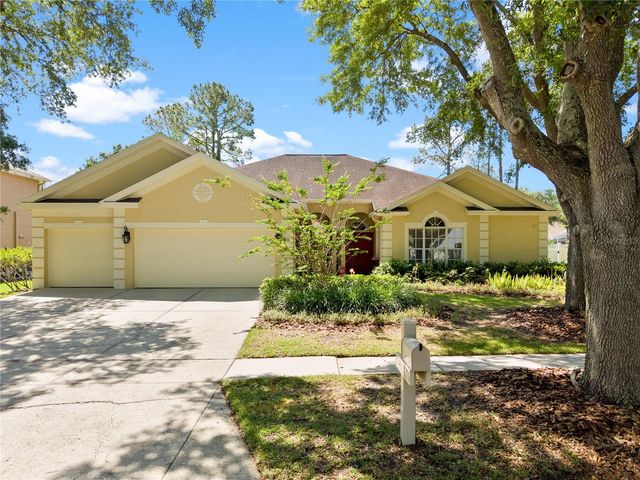 8715 HIDDEN GREEN LANE, Tampa, FL 33647