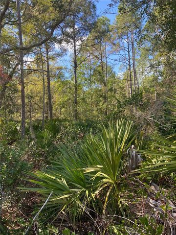 862 LAMAR STREET E, Lehigh Acres, FL 33974