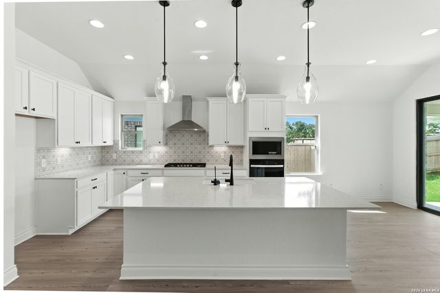 161 THORNY GRV, San Antonio, TX 78253