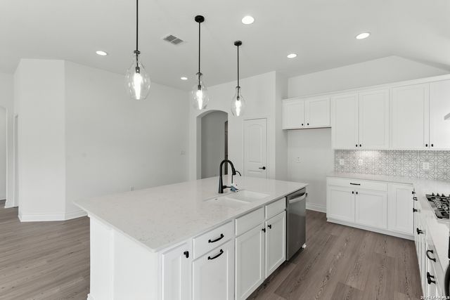 161 THORNY GRV, San Antonio, TX 78253