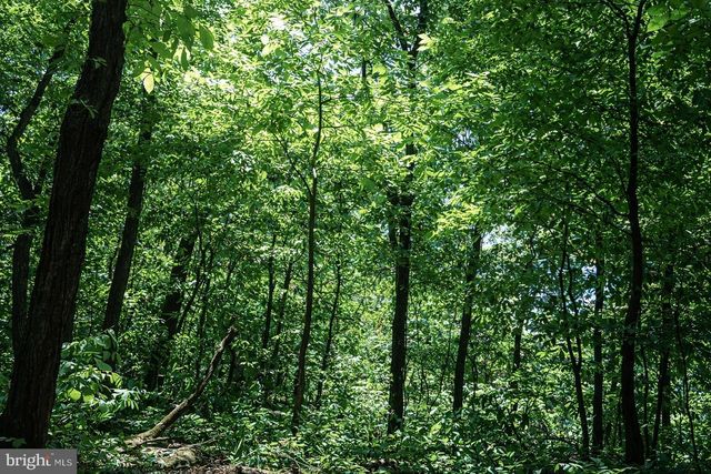 2800 KAETZEL RD, Knoxville, MD 21758