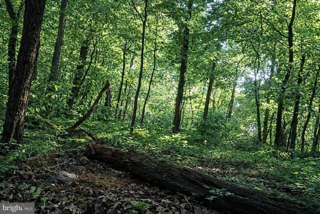 2800 KAETZEL RD, Knoxville, MD 21758