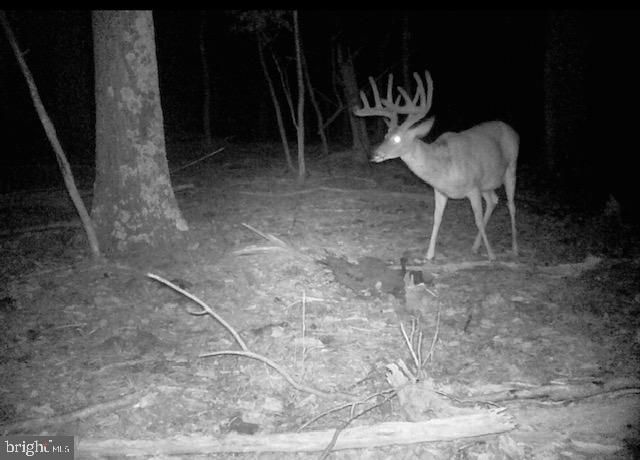 2800 KAETZEL RD, Knoxville, MD 21758