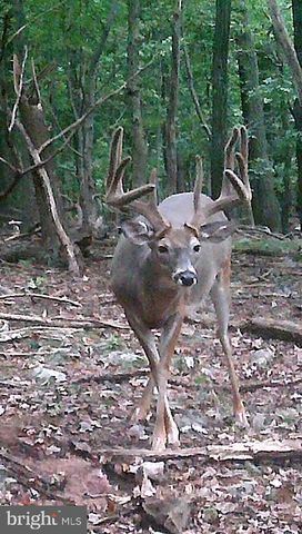 2800 KAETZEL RD, Knoxville, MD 21758