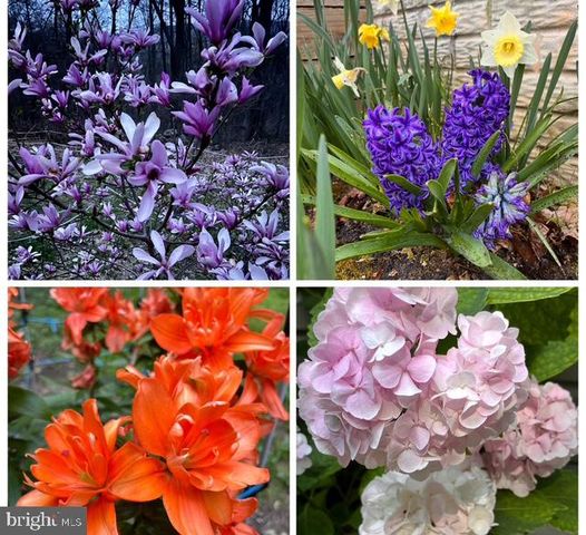 2800 KAETZEL RD, Knoxville, MD 21758