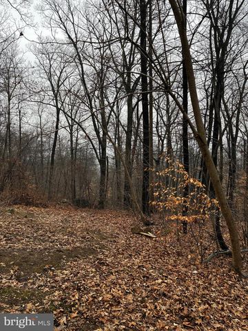 2800 KAETZEL RD, Knoxville, MD 21758