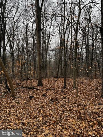 2800 KAETZEL RD, Knoxville, MD 21758