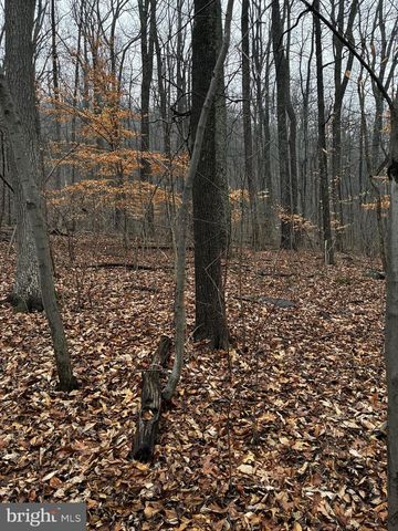 2800 KAETZEL RD, Knoxville, MD 21758