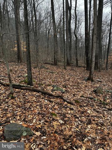 2800 KAETZEL RD, Knoxville, MD 21758