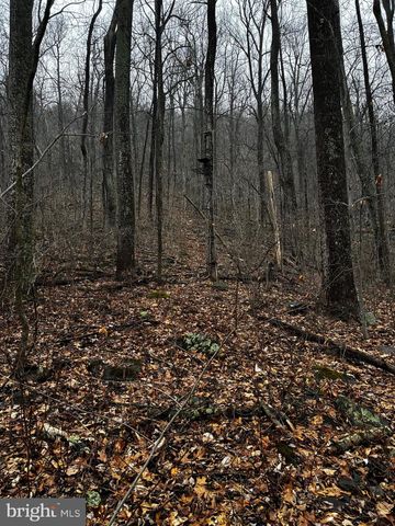 2800 KAETZEL RD, Knoxville, MD 21758